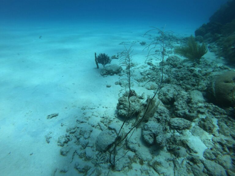 Seabed Warfare In a New Era of Geotech Conflicts