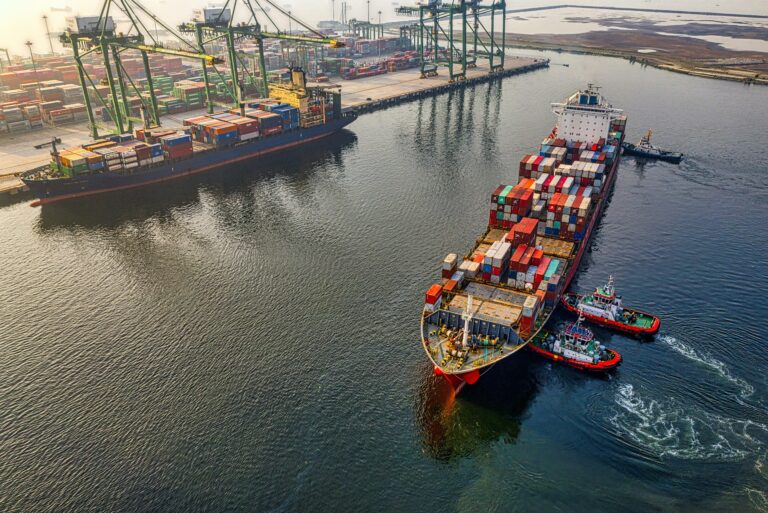 The CPTPP Dilemma: Economic Merit Versus Geopolitical Calculation