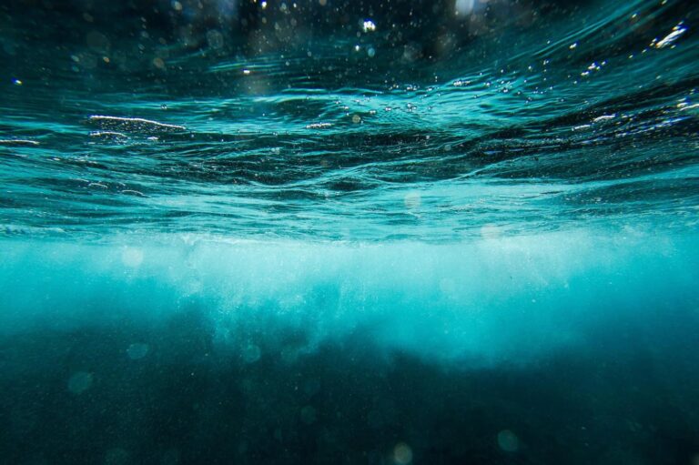 What Lies Beneath: Trump and The Security of Subsea Cables