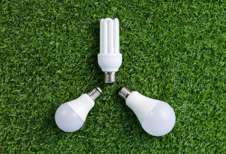 Powering Up The Australia-India Clean Energy Partnership