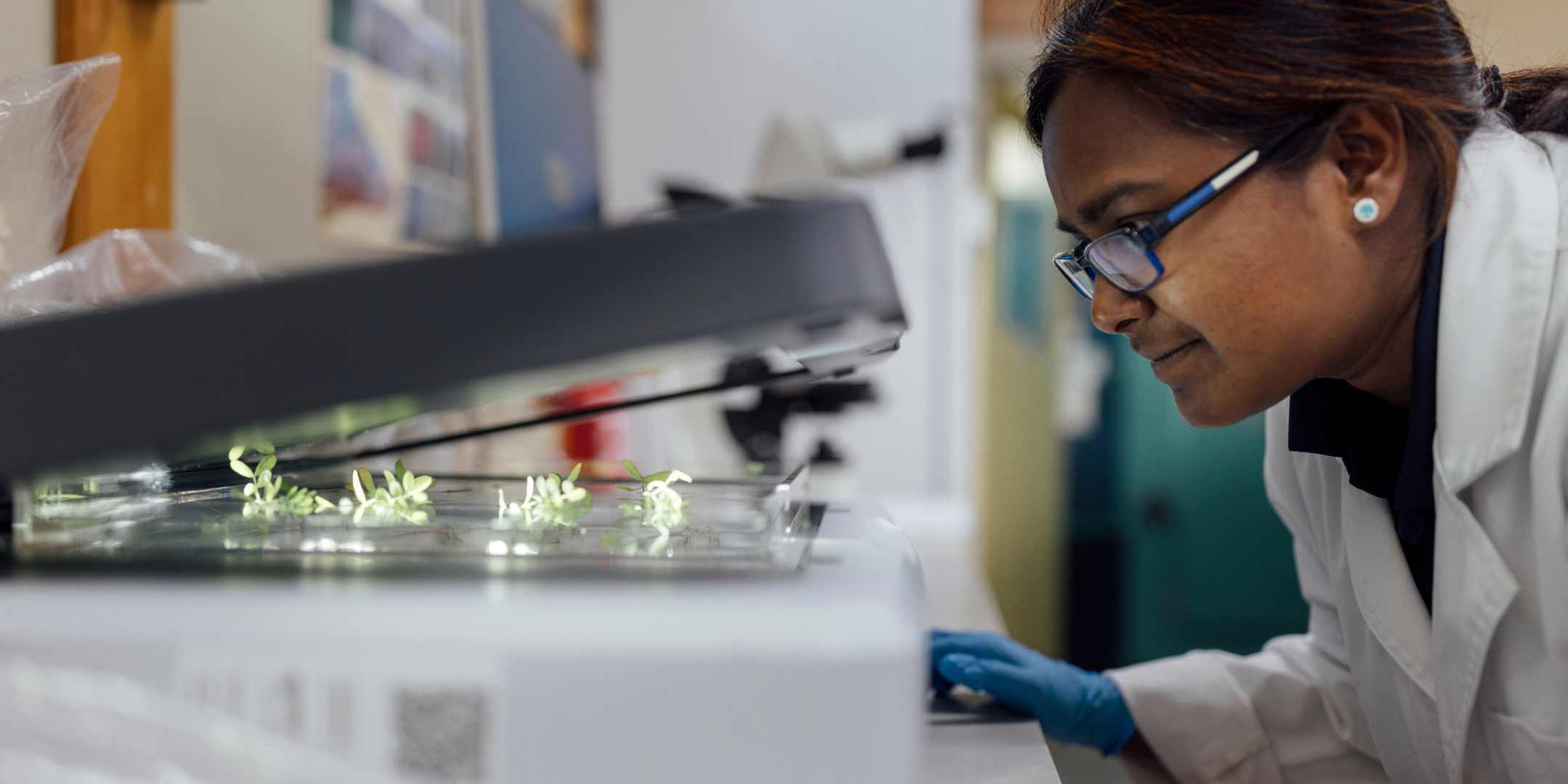 GROWING NEW PARTNERSHIPS FOR APPLIED LEARNING