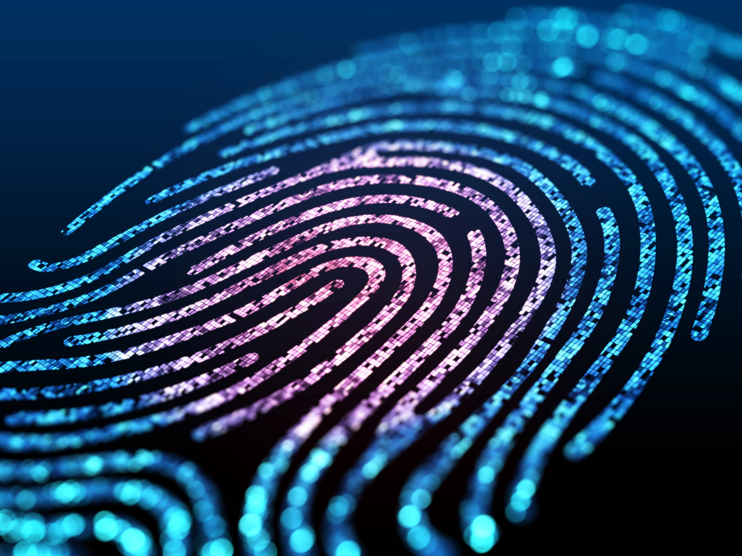 Authenticating Welfare Efficiency: The Private Costs of Digital Public Infrastructures